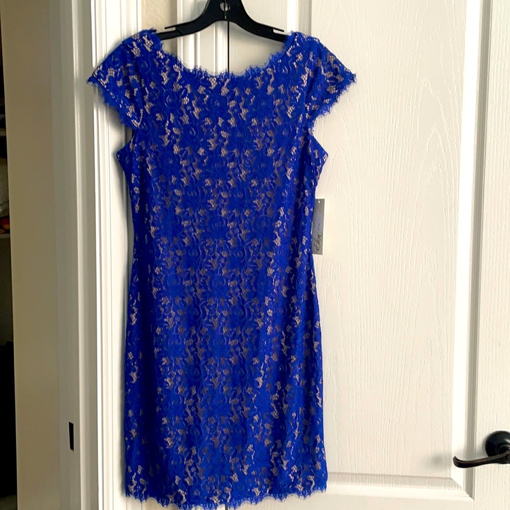 Eliza J blue dress